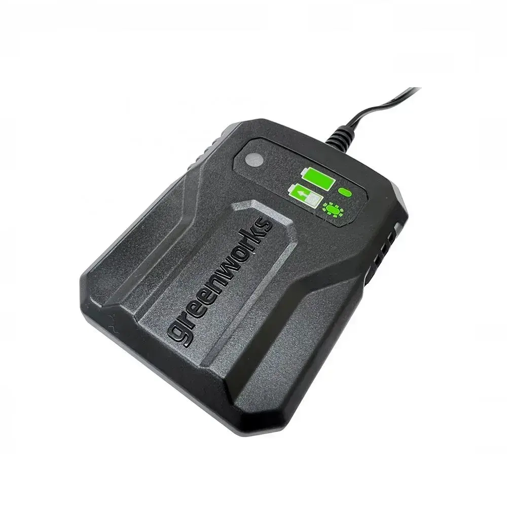 Зарядное устройство Greenworks G24UC2 2946207