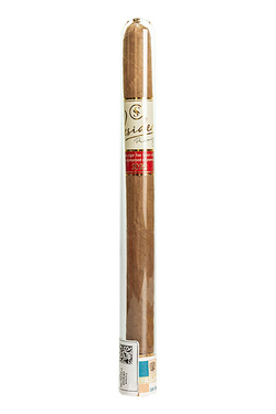 Orishas Presidentes Lancero Tube