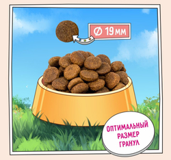 ZILLII Adult Dog Large Breed Сухой корм для взрослых собак крупных пород 15кг Индейка с Ягнёнком