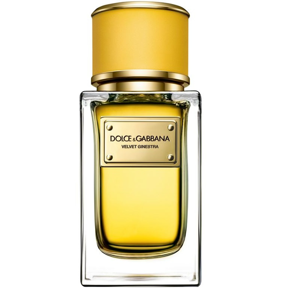 Dolce and Gabbana Velvet Ginestra