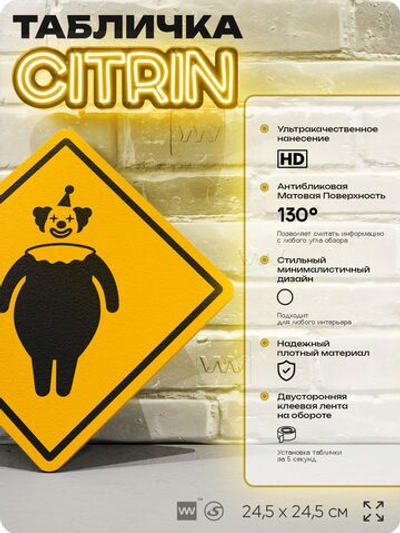 Табличка "Клоун" шуточная прикольная табличка на дверь и стену, для офиса и дома, декоративный знак, 24,5х24,5 см, пластиковая, Айдентика Технолоджи