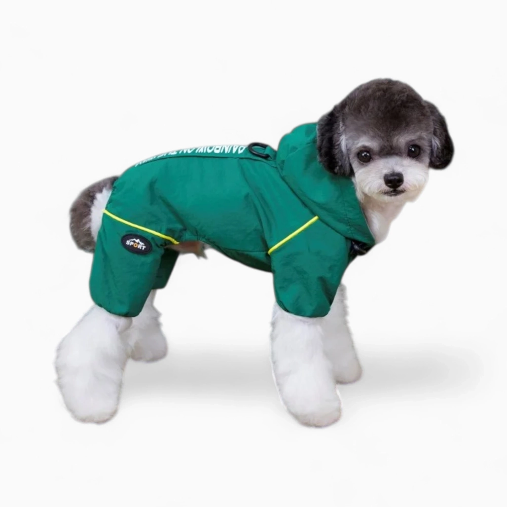 Дождевик «Rainbow»