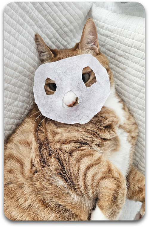 Карта / STRAY KIDS #2459