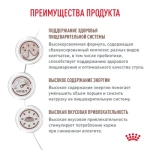 ROYAL CANIN Gastrointestinal Диетический корм для взрослых собак при нарушениях пищеварения, 2 кг