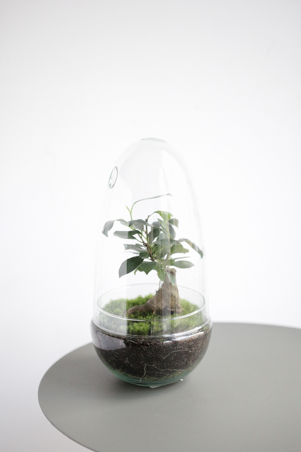 Экосистема Shell mini