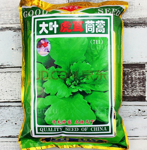 皇帝菜茼蒿 - Китайская Императорская Овощная Широколистная Хризантема