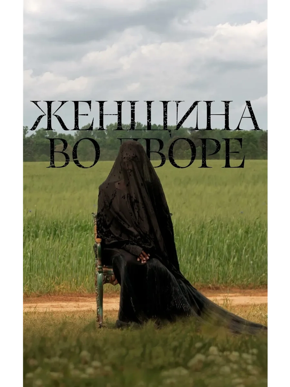 Женщина во дворе (2025) (DVD-R)