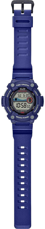 Мужские наручные часы Casio Collection WS-1300H-2A