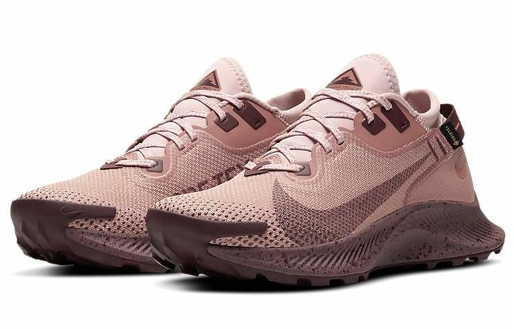 Кроссовки Nike Pegasus Trail 2 Gore-Tex (Женская размерная сетка)