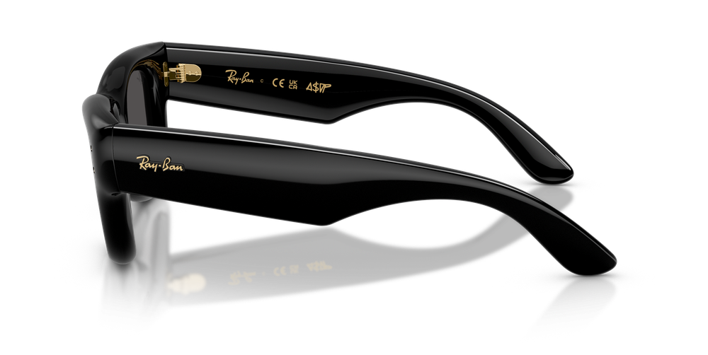 Ray-Ban WAYFARER PUFFER RB4940 601/87 Black