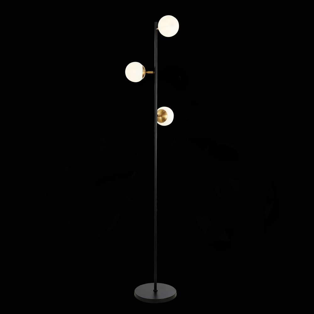 Светильник напольный Evoluce Forli SLE220405-03