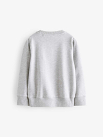 Пижама для мальчика Next 399-502, Серый, Голубой