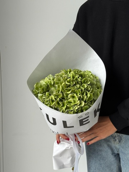 Кулек из гортензии в зеленом оттенке