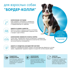 Корм сухой для взрослых собак породы Бордер-колли, премиум полнорационный комплекс, с лососем, 12 кг, QUATTRO
