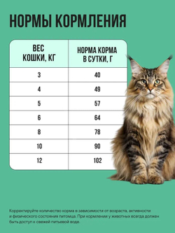 Сухой корм Bowl Wow для стерилизованных кошек, с индейкой, курицей и шпинатом - 1,5 кг