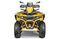 Квадроцикл STELS ATV 800 Guepard Trophy EPS (ПСМ)