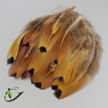 Перо фазана покровное натуральное Black Tips / 5-11 см / 20 шт