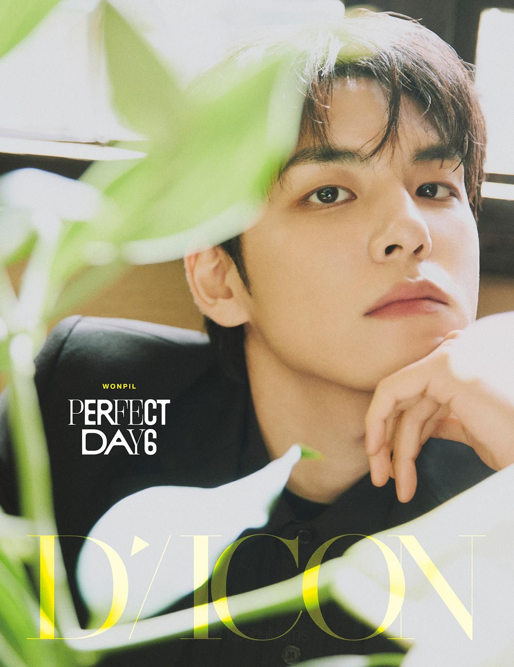 публикация DICON - VOLUME N 27 PERFECT DAY6 WONPIL B Type