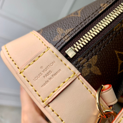 Louis Vuitton Alma Backpack