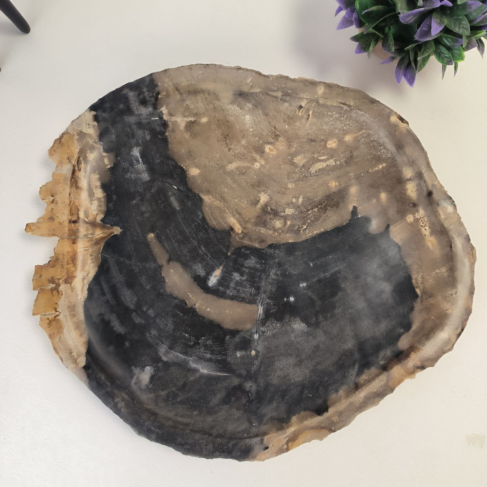 Набор из окаменелого дерева 4 предм Fossil Set NF-63063 поднос 33см*38см