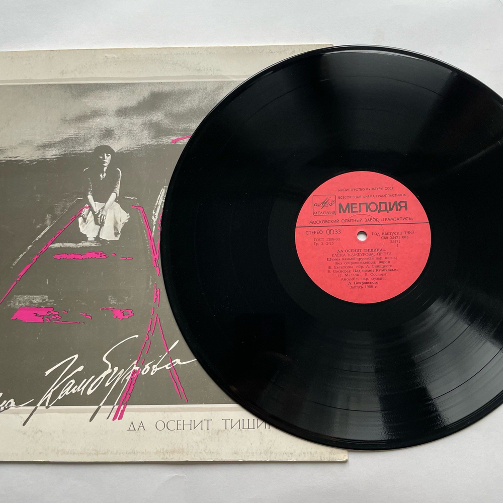 Винтажная виниловая пластинка LP Елена Камбурова Да Осенит Тишина... (СССР 1987)