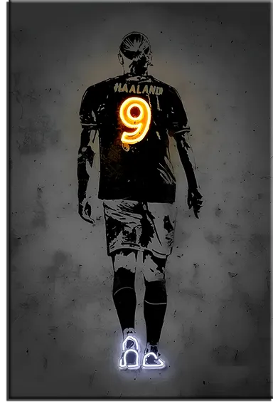 Постер "Haaland"