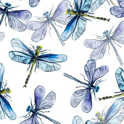 Ледяные стрекозы