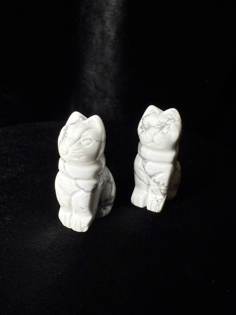 Говлит (Котик)