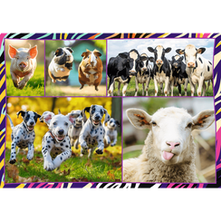Pazl \ Puzzle \ Пазлы Puzzles - "4x250" - Funny animals / Trefl