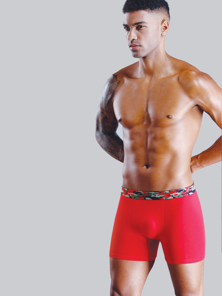 Классические боксеры