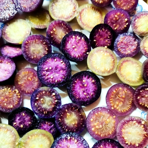 Виноградный Физалис Изабелла Чёрная