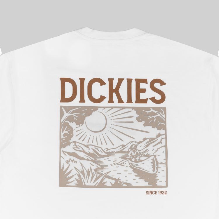 Футболка мужская Dickies Patrick Springs Tee артикул:DK0A4YR7WHX1 - купить в магазине Дайс