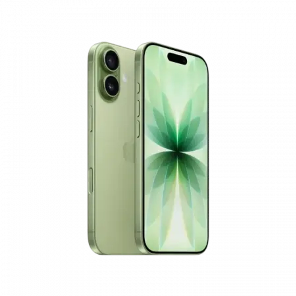 iPhone 17 512Gb Sage