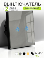 Выключатель сенсорный двухклавишный проводной для дома