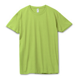 Футболка унисекс Regent 150, зеленое яблоко