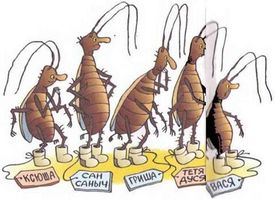 Как защитить растение от насекомых вредителей.