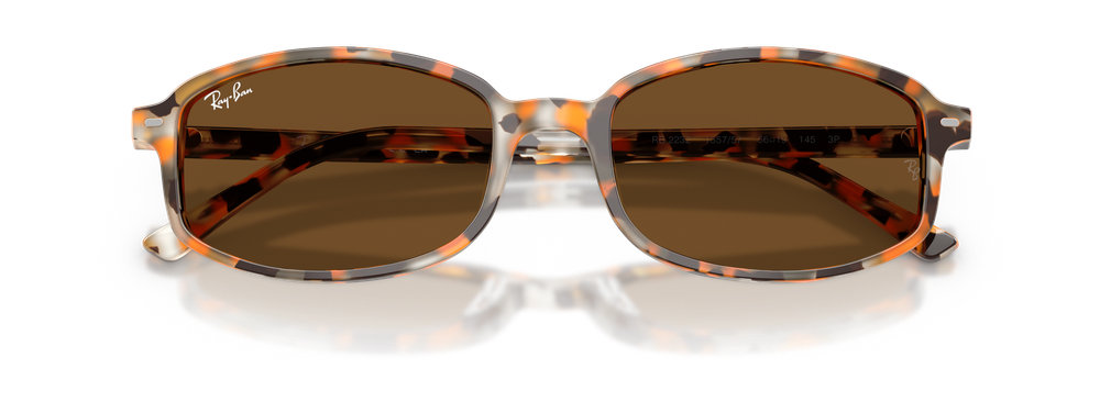 Ray-Ban RB2232 135757 Brown