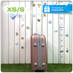 Ручная кладь King of King, Пудра, S