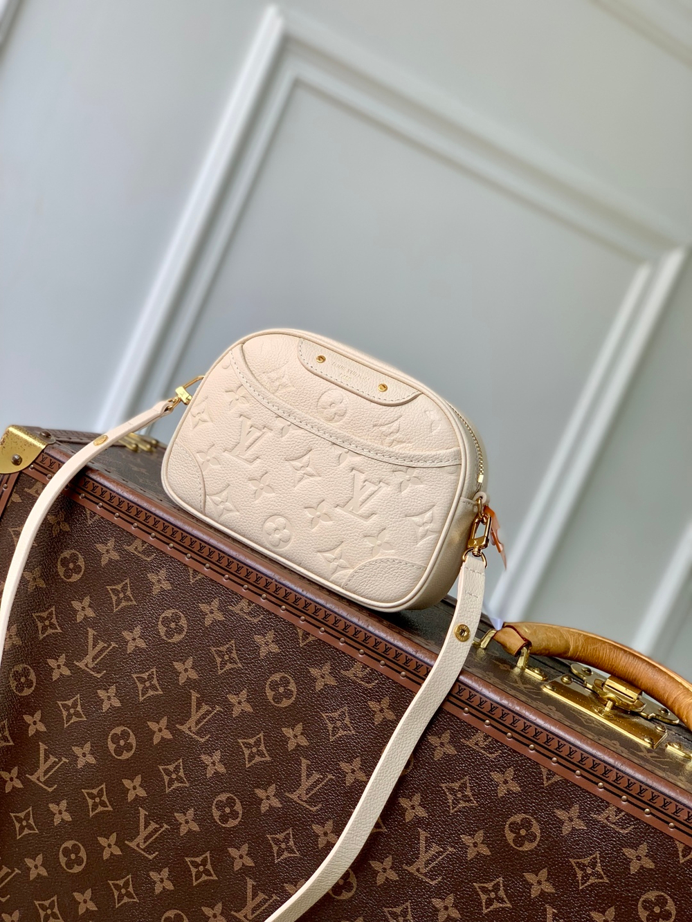 Louis Vuitton Tiny Camera Bag