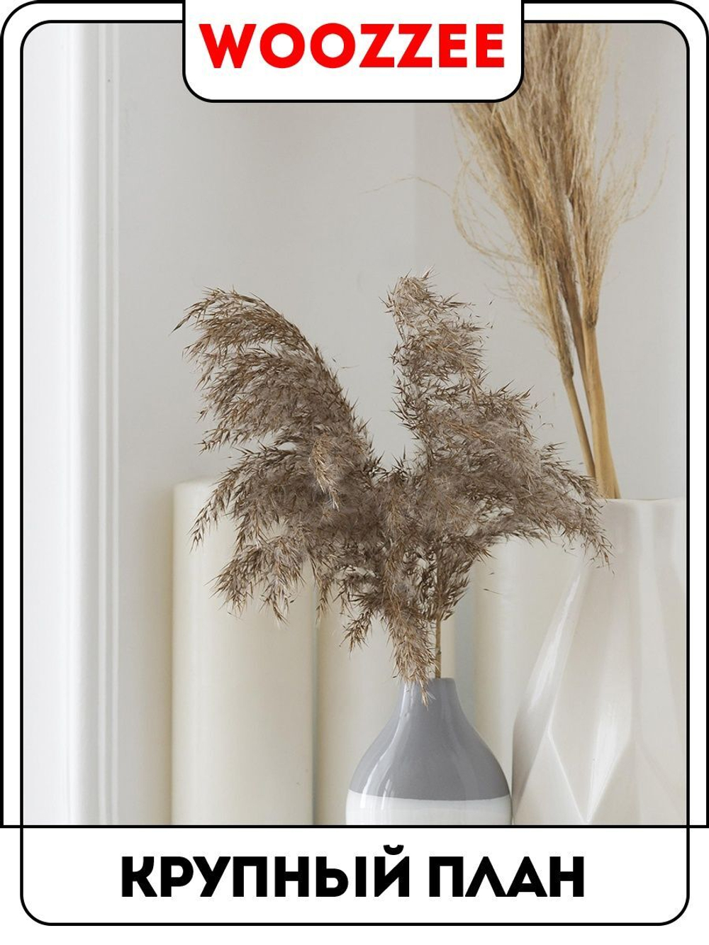 Набор постеров "Белый сухоцвет"  3шт.