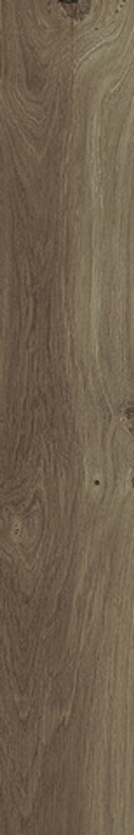 Porcelanosa Forest Cognac 14.3x90