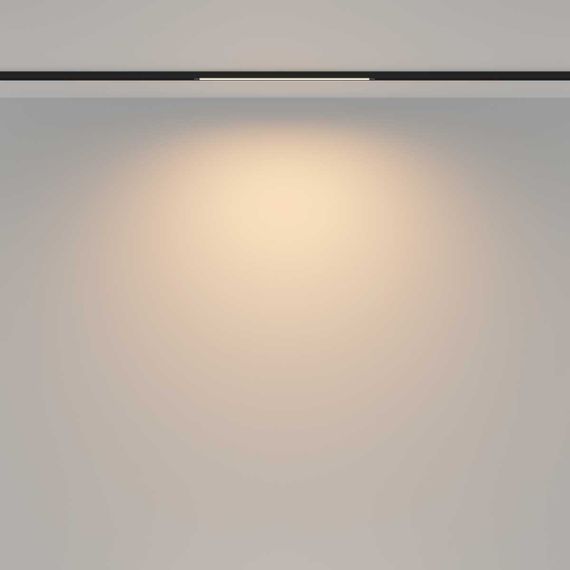 Трековый светильник Maytoni Technical TR173-1-8WTW-B