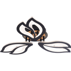 Светильник потолочный светодиодный Rivoli Lana 6195-703 LED 3000-6250К 60 Вт с пультом | Rivoli