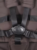 Коляска детская RANT "CASPIA soft" RA100 Shine Brown