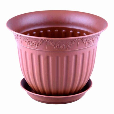 Виноград кашпо с поддоном 0,5 л