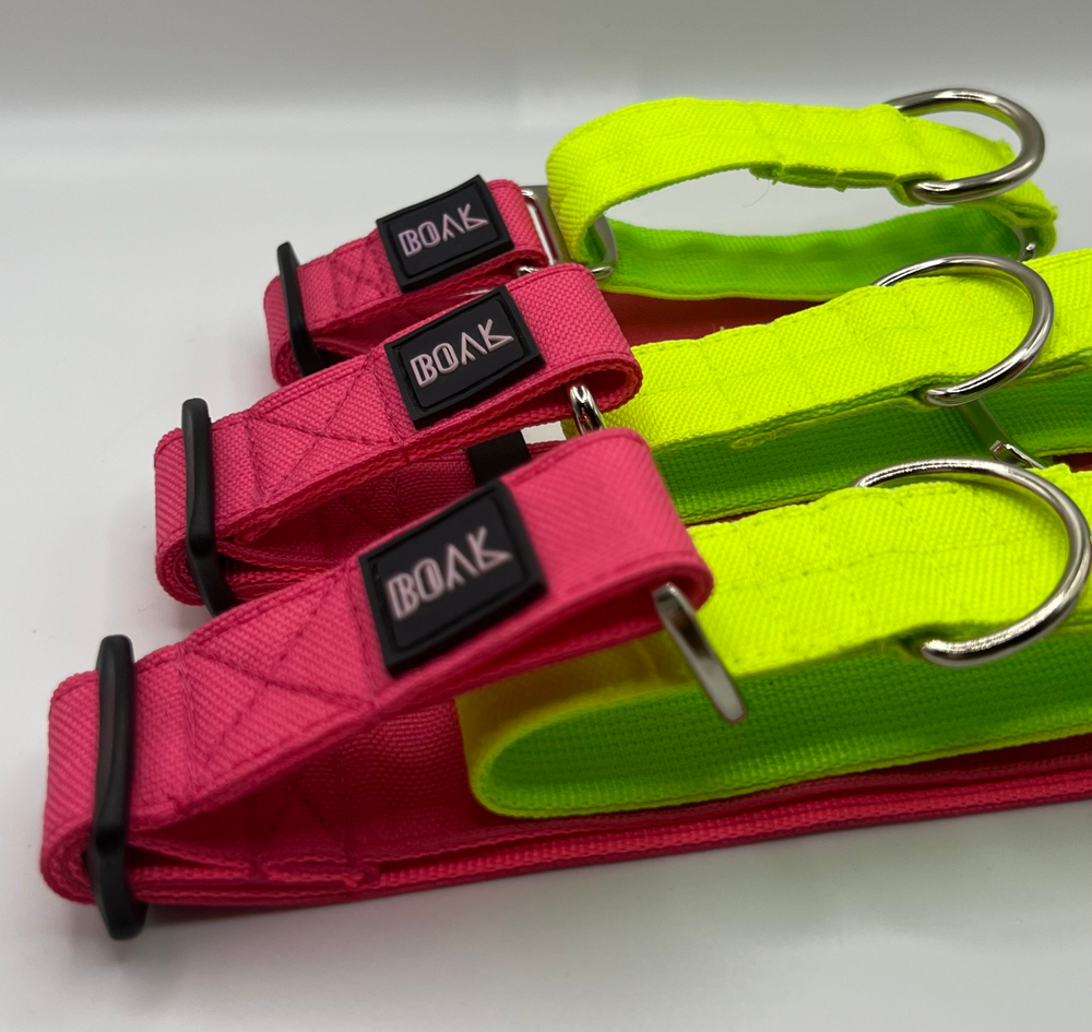 Ошейник Волк 2.0