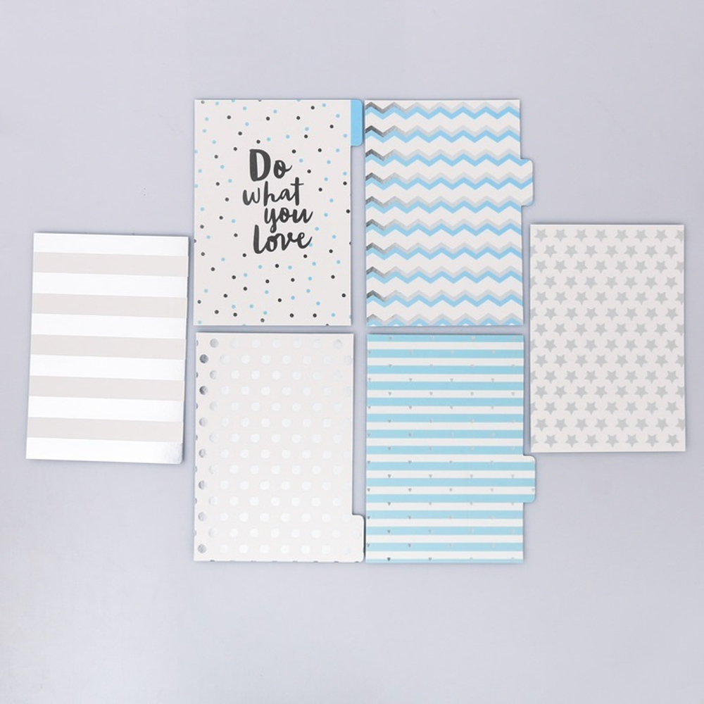 Набор картонных разделителей для планера «Мята», 6 листов, 16 × 21 см