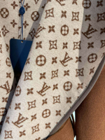 Louis Vuitton Coat