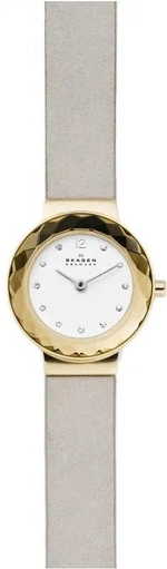 Женские наручные часы Skagen SKW2778