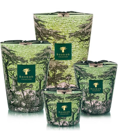 Touba, свеча MAX 10 Sacred Trees collection, Baobab Collection